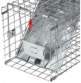 Havahart Cage Trap Picture