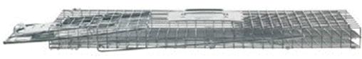 Picture cage trap one