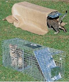 Cat Rescue Kit Trap Picture