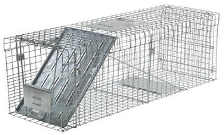 More Details Havahart Cage One